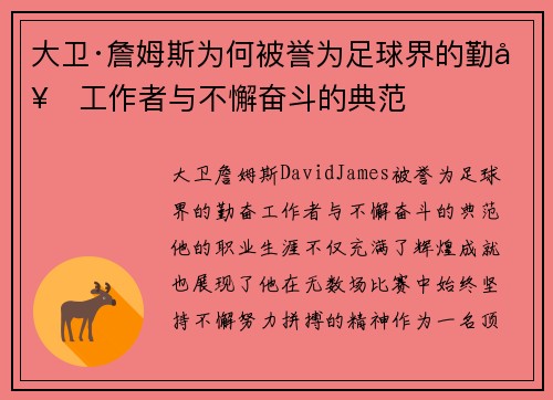 大卫·詹姆斯为何被誉为足球界的勤奋工作者与不懈奋斗的典范