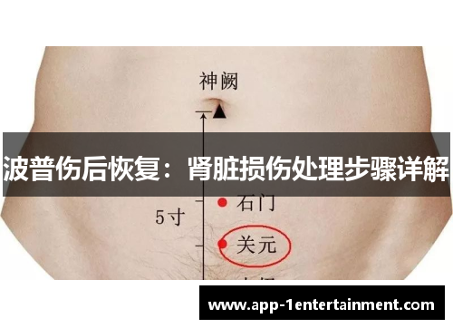 波普伤后恢复：肾脏损伤处理步骤详解