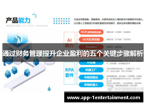 通过财务管理提升企业盈利的五个关键步骤解析